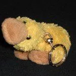 Le vilain petit canard… dans Cas pratique IMG_0031-150x150